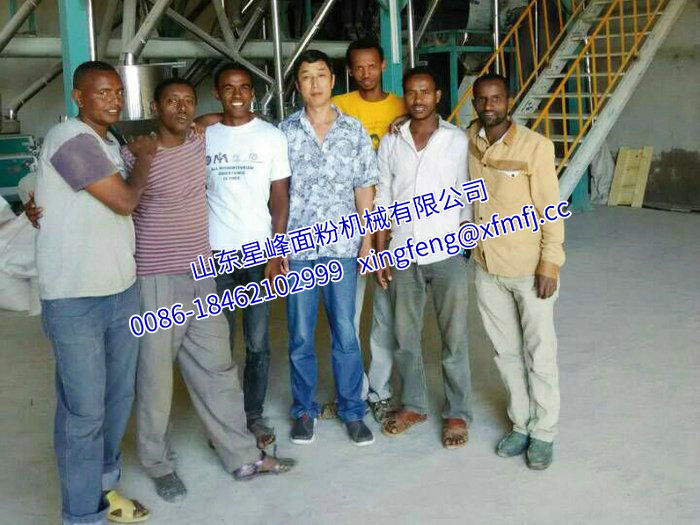 20-60T豆類(lèi)脫皮、拋光、制仁、制粉成套設(shè)備